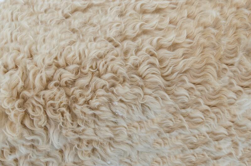 Yak Hide Bed Spread
